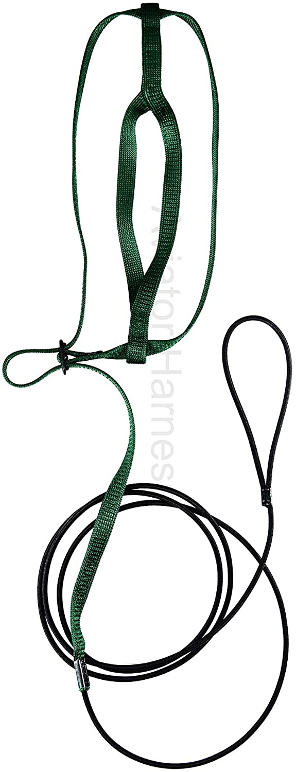 Aviator - Pettorina per Pappagalli - L - Verde Aviator - Pettorina per Pappagalli - L - Verde
